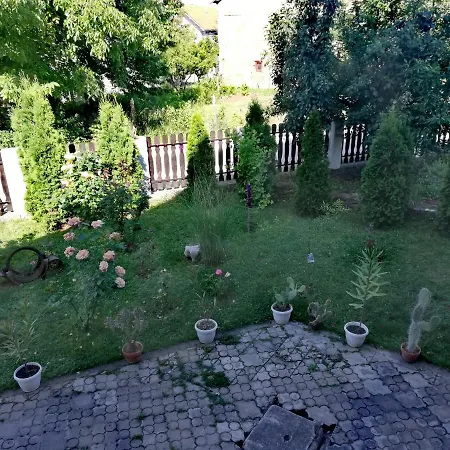 Tvins * Soko Banja